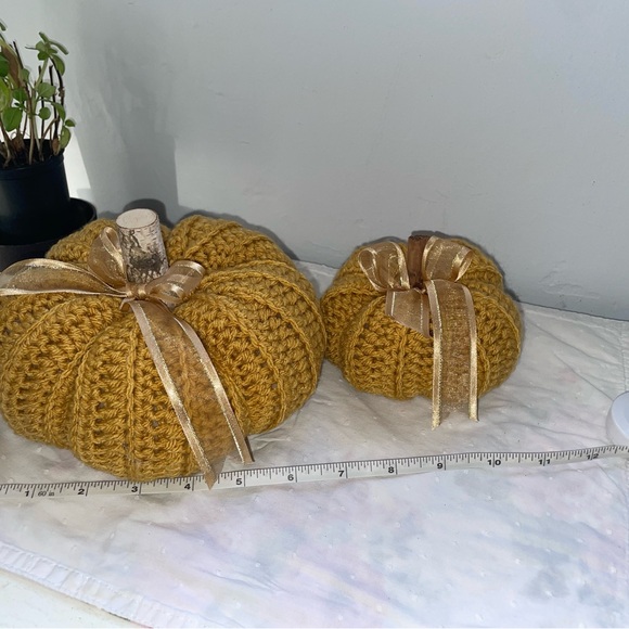 2 Pumpkin/ Thanksgiving decor - Picture 3 of 15